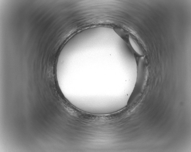 X0000065240881200603172135