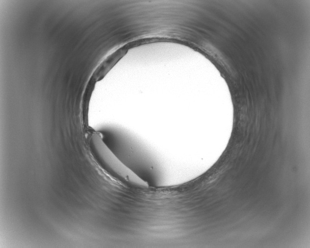 X0000065240884200603172135