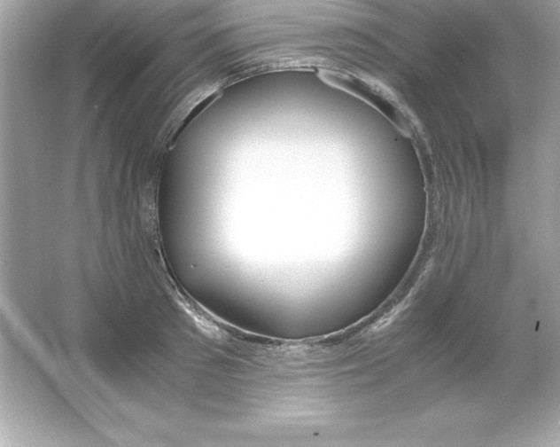 X0000065240897200603172135