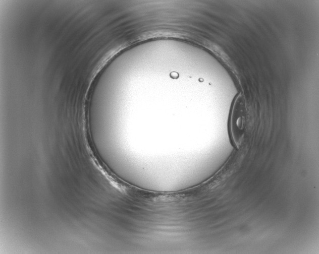 X0000065240898200603172135