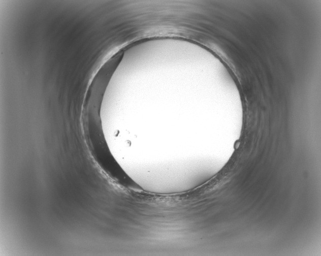 X0000065240901200603172135