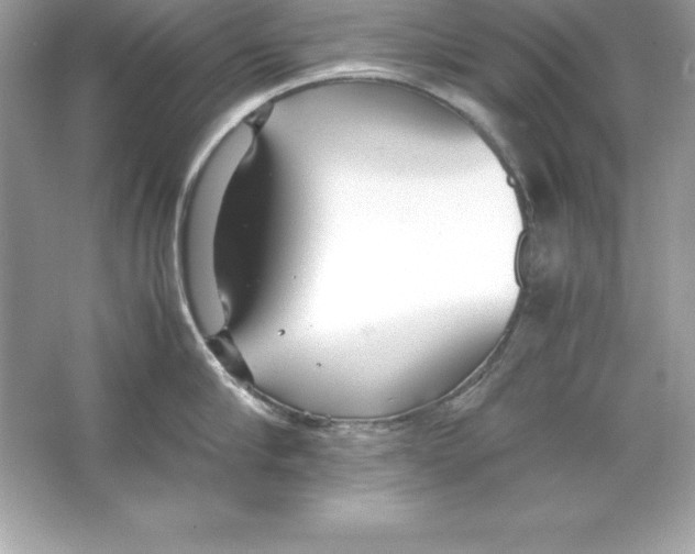 X0000065240910200603172135