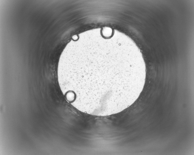 X0000065240918200603172134