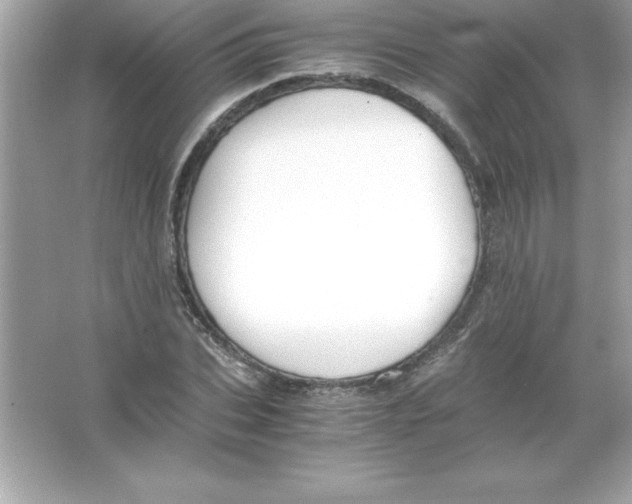 X0000065240927200603172134