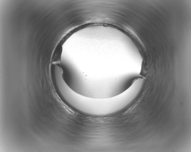 X0000065240932200603172134