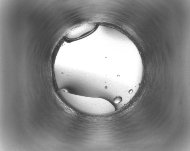 X0000065240934200603172134