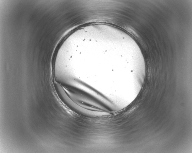 X0000065240940200603172134