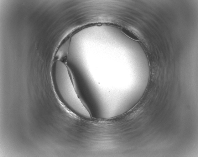 X0000065240942200603172134