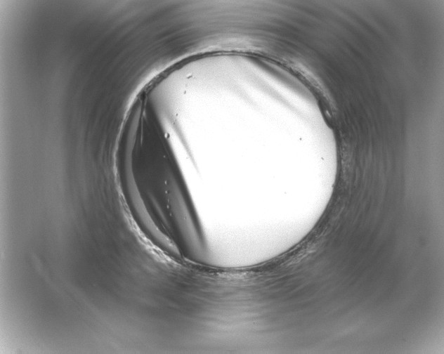 X0000065240944200603172134