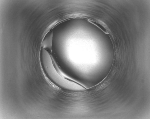 X0000065240946200603172135