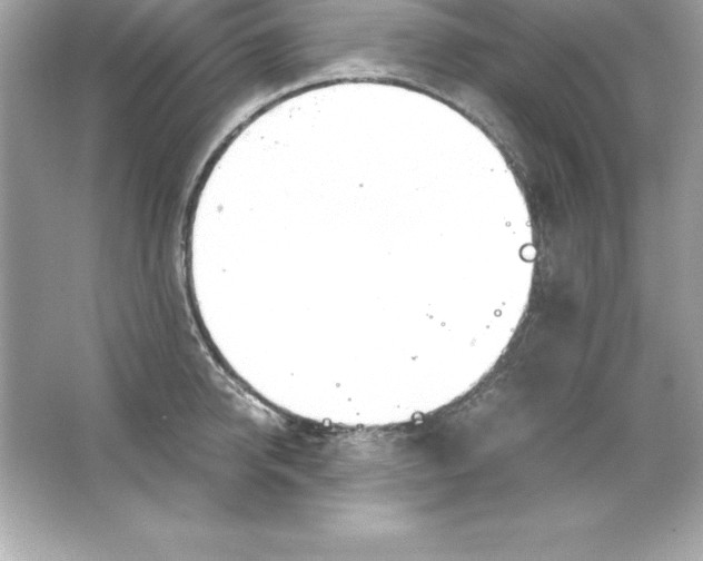 X0000065240950200603172135