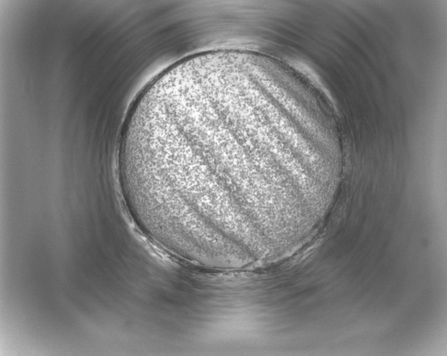 X0000065240952200603172135