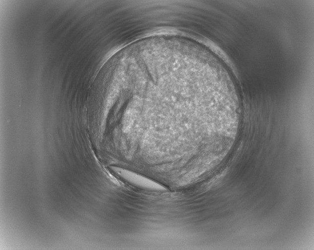 X0000065240953200603172135