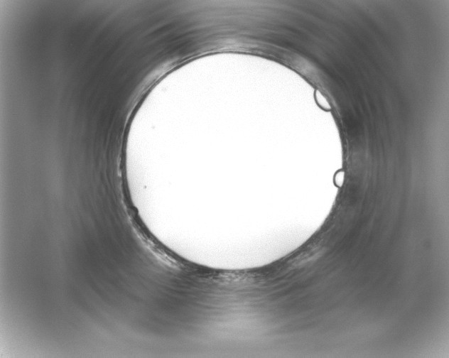 X0000065240954200603172135