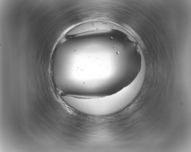 X0000065240956200603172135