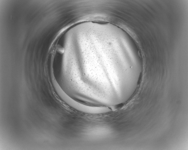 X0000065240960200603172135