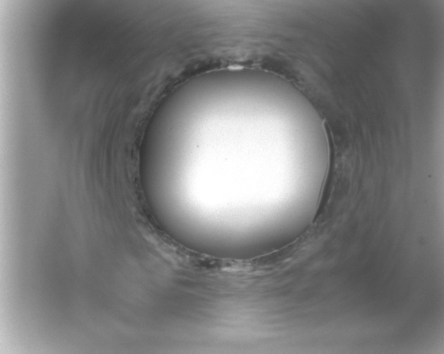 X0000065240961200603172134