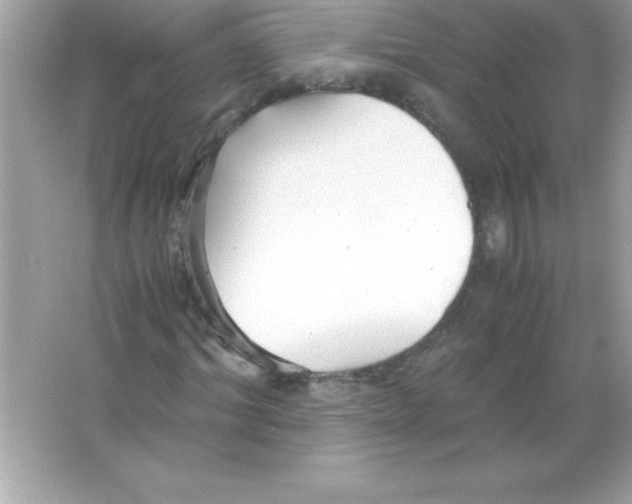 X0000065240964200603172134