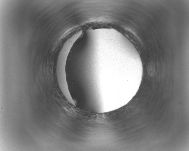 X0000065240968200603172134
