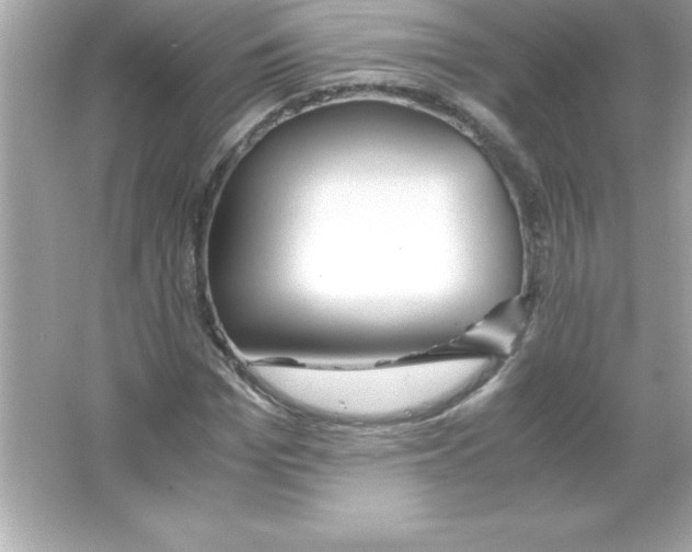 X0000065240969200603172134