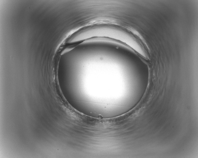 X0000065240973200603172134