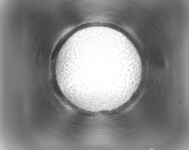 X0000065240974200603172134
