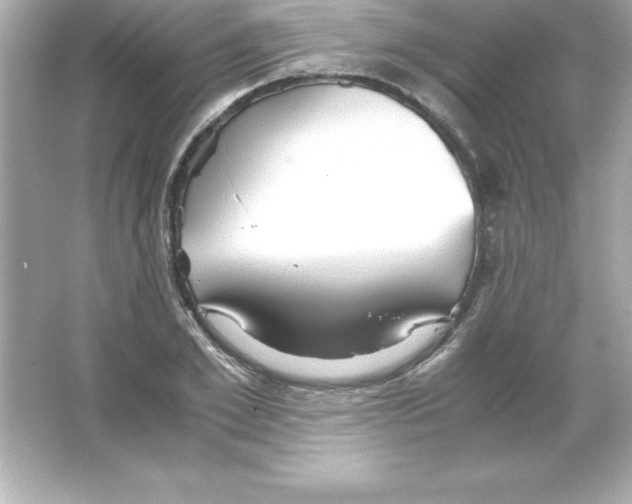 X0000065240981200603172134