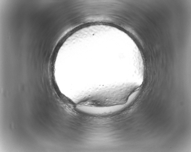 X0000065240983200603172134