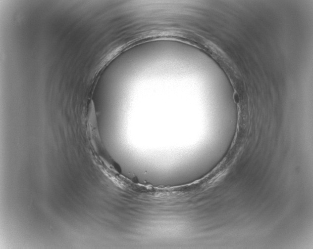 X0000065240985200603172134