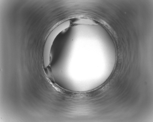 X0000065240993200603172133