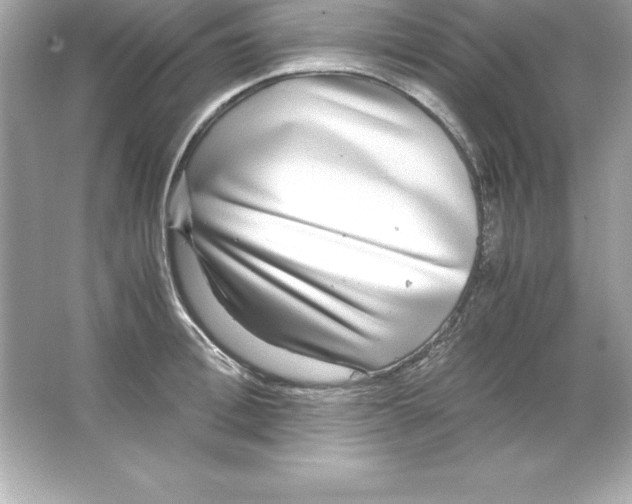 X0000065240996200603172133