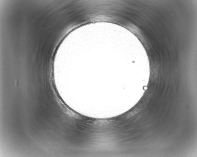 X0000065241000200603172133