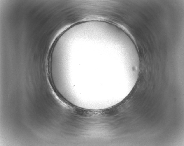 X0000065241003200603172133