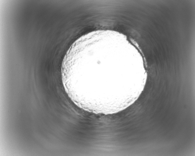 X0000065241009200603172132