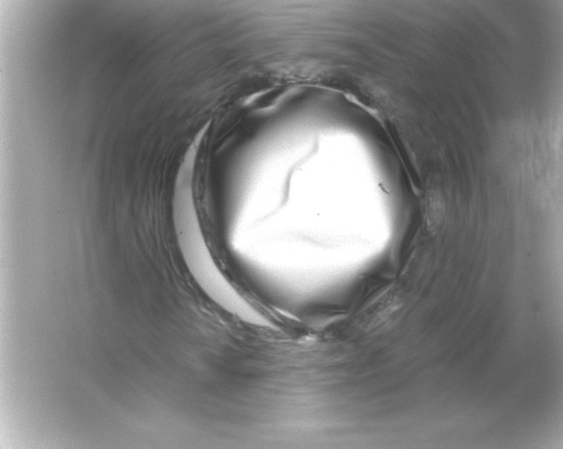 X0000065241010200603172132