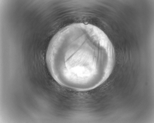 X0000065241013200603172132