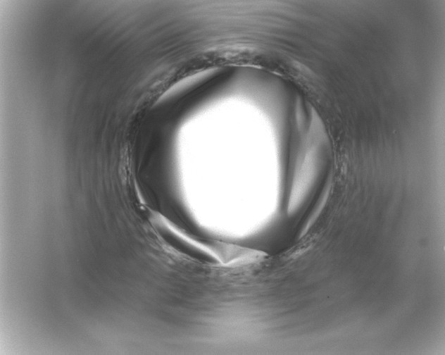 X0000065241014200603172132