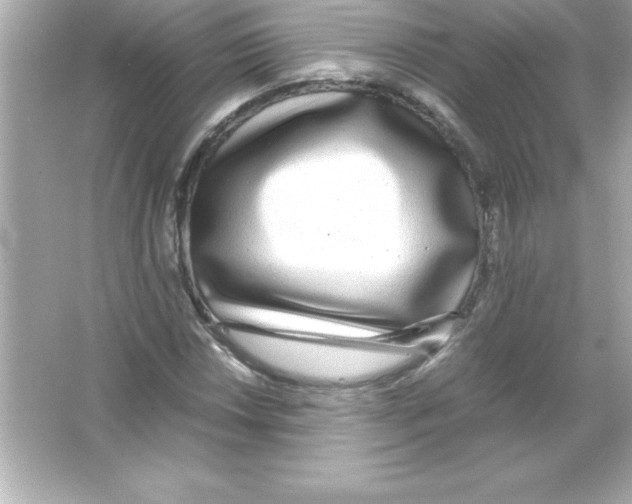 X0000065241018200603172132