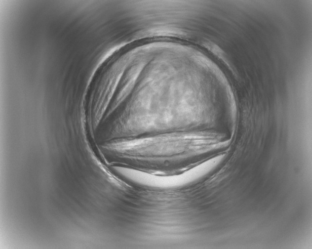 X0000065241024200603172133