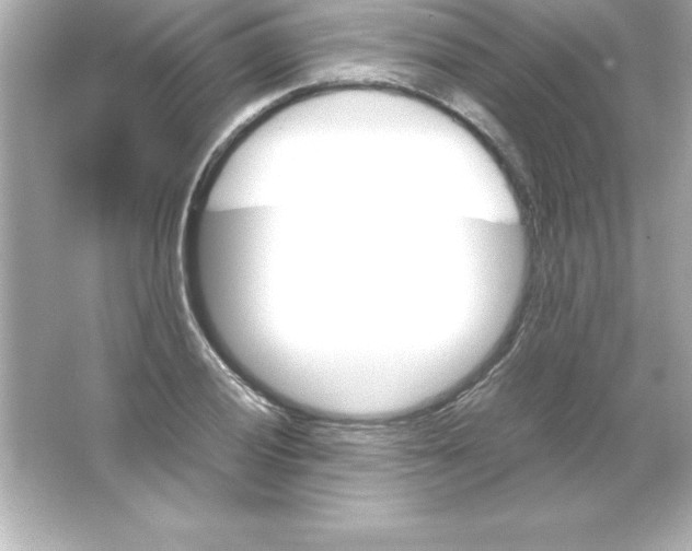 X0000065241028200603172133
