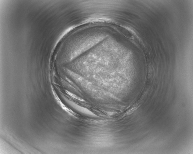 X0000065241038200603172133