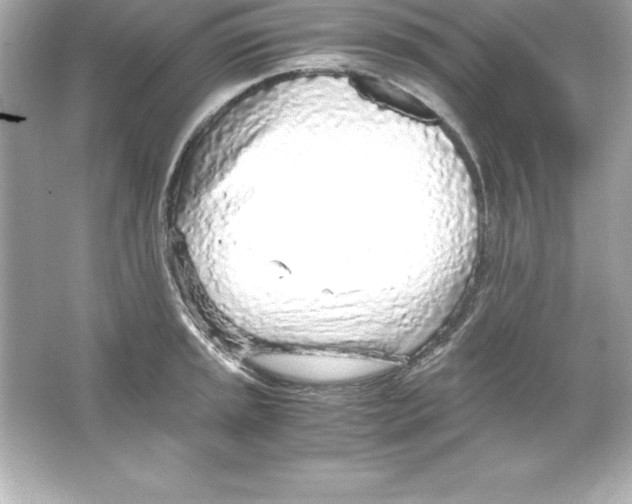 X0000065241045200603172133