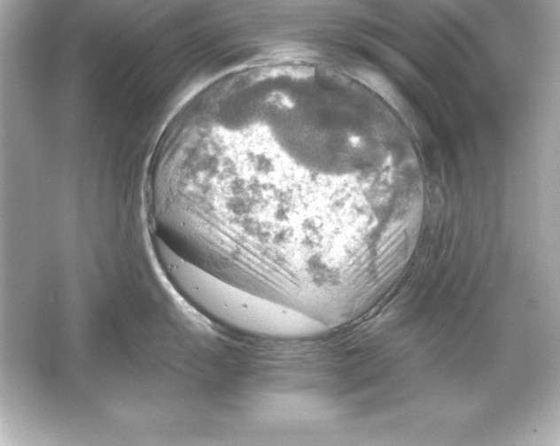X0000065241055200603172133
