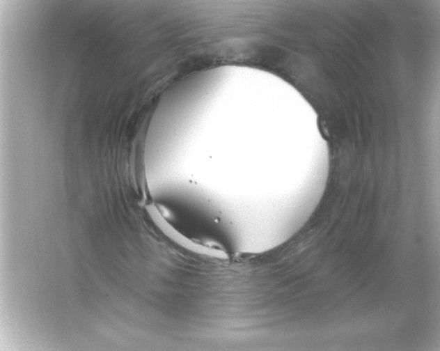 X0000065241058200603172132