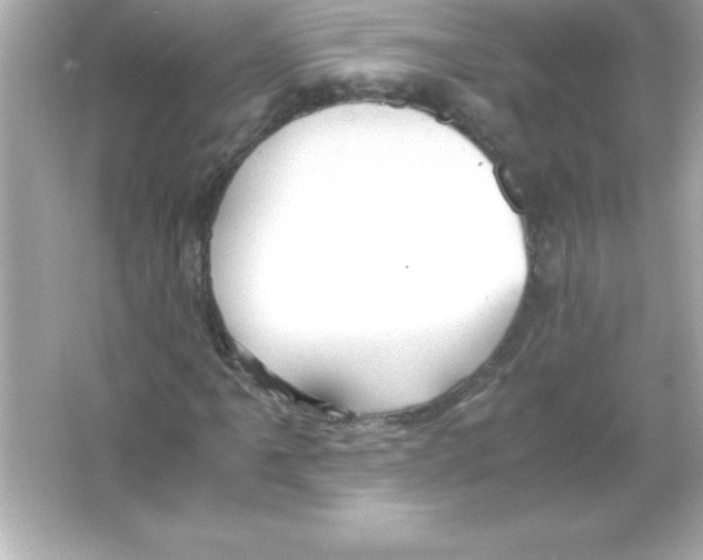 X0000065241061200603172132