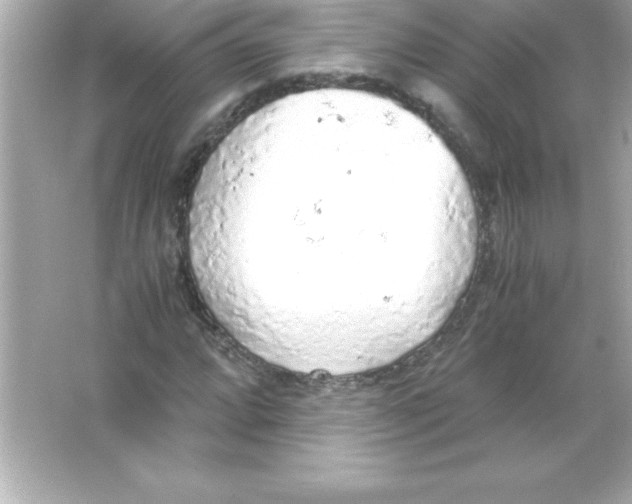 X0000065241064200603172132