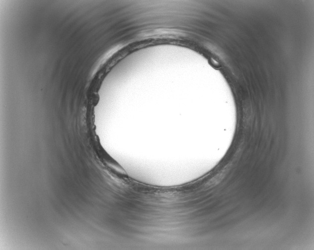 X0000065241066200603172132