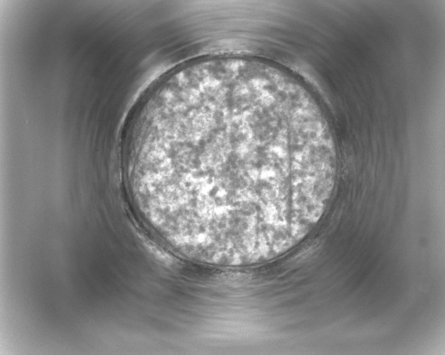 X0000065241075200603172132