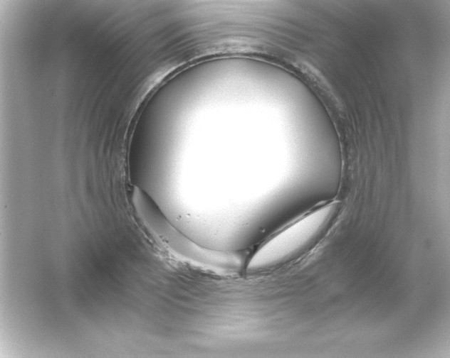 X0000065241081200603172132
