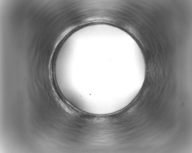 X0000065241082200603172132